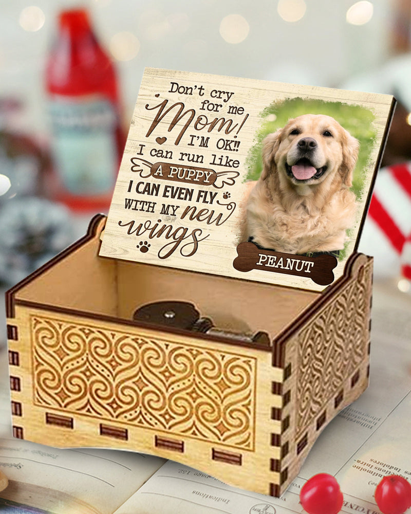 I Can Run With My New Wings - Personalized Music Box - Upload Image, Gift For Pet Lovers