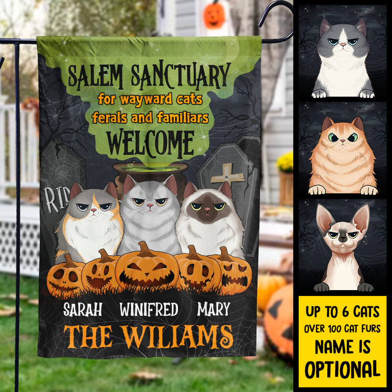 Salem Sanctuary For Wayward Cats - Personalized Funny Cat Flag