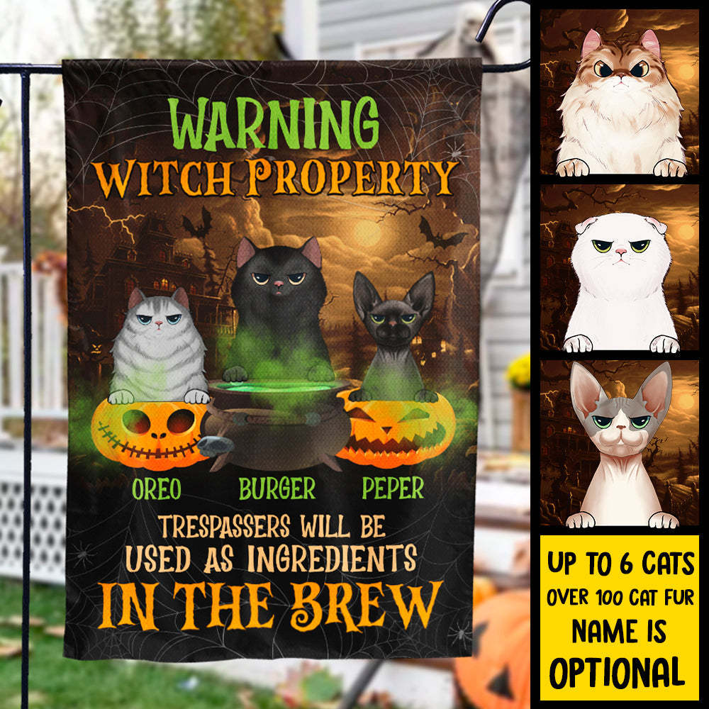 Warning Witch Property - Personalized Funny Cat Flag.