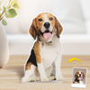 Custom Photo I'll Always Be With You - Dog & Cat Personalized Custom Shaking Head Standee - Upload Photo Gift For Pet Owners, Pet Lovers