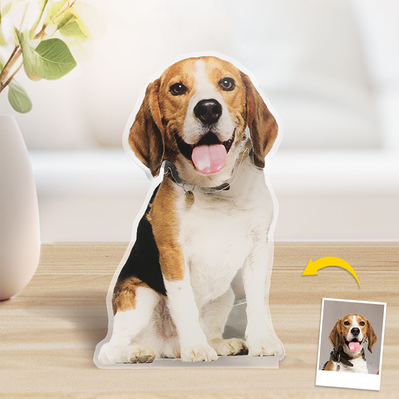 Custom Photo I'll Always Be With You - Dog & Cat Personalized Custom Shaking Head Standee - Upload Photo Gift For Pet Owners, Pet Lovers