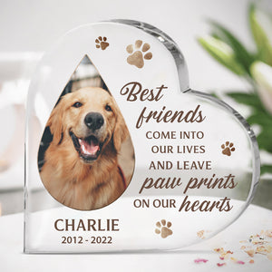 Custom Photo Best Friends Come Into Our Lives - Memorial Personalized Custom Heart Shaped Acrylic Plaque - Sympathy Gift, Gift For Pet Owners, Pet Lovers