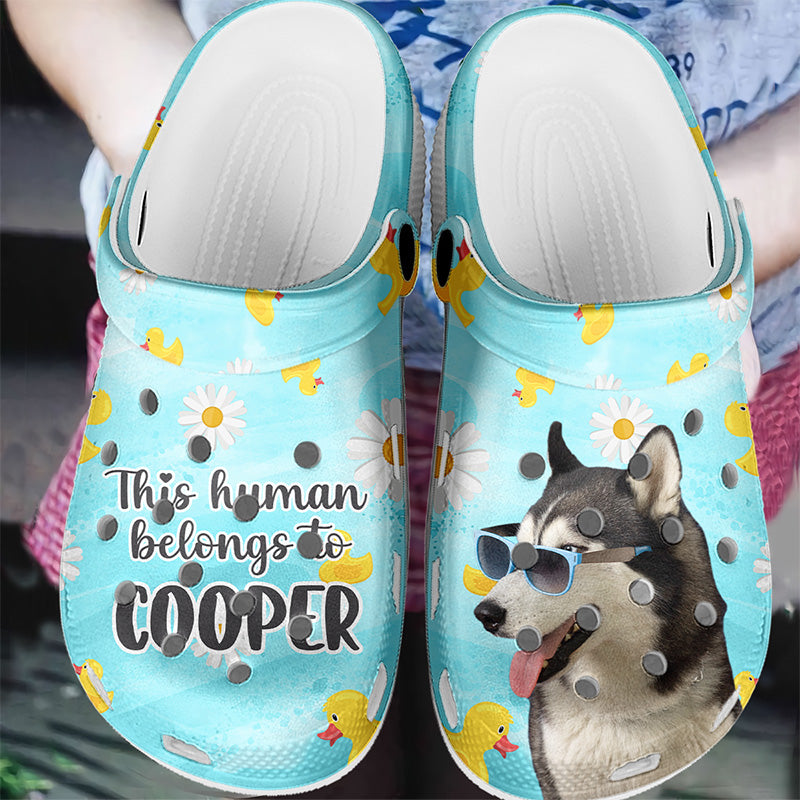 Dog Croc Clog Shoe Charms Puppy Croc Charms 