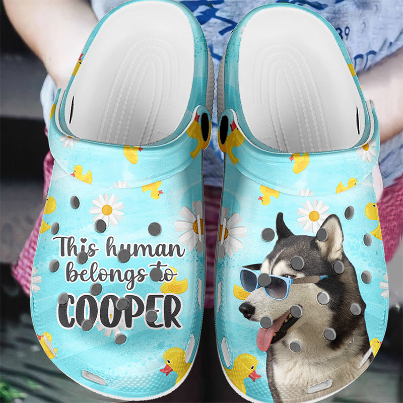 Personalize Cat Crocs Clog Comfortable For Women Men American Cat