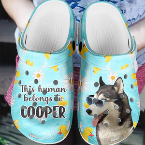 Custom Photo This Human Belongs To - Dog & Cat Personalized Custom Unisex Clogs, Slide Sandals - Gift For Pet Owners, Pet Lovers