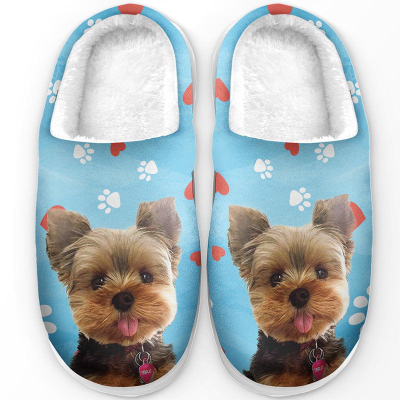 Excoolent Personalized Slippers Personalized Dog Slippers Dog Slippers  Custom Pet Slippers Pattern Lazy Pets Up To Pets/Dogs/Cats |  centenariocat.upeu.edu.pe