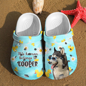 Custom Photo This Human Belongs To - Dog & Cat Personalized Custom Unisex Clogs, Slide Sandals - Gift For Pet Owners, Pet Lovers