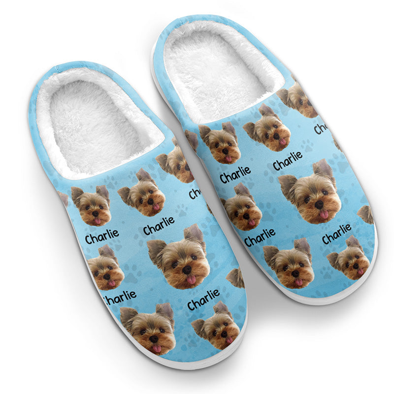 Slippers of your discount pet