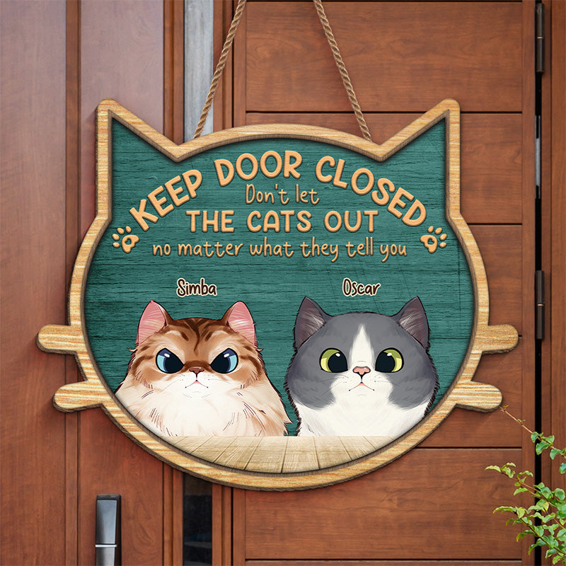 Custom on sale cat door