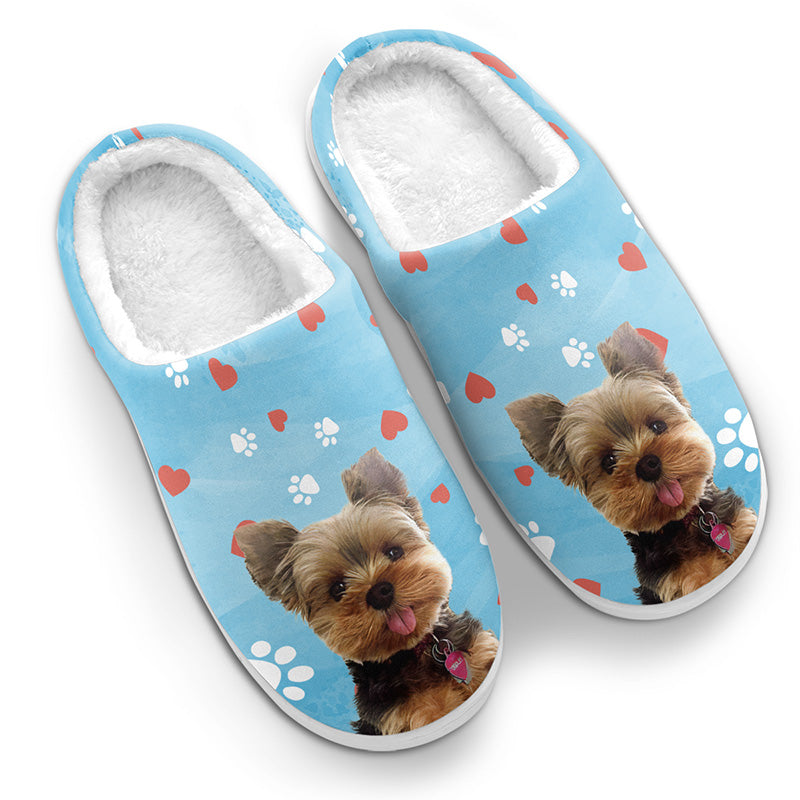Custom Made Dog Slippers Hotsell - www.bridgepartnersllc.com 1695156582