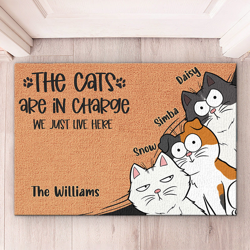 The Cat Is In Charge We Just Live Here - Cat Personalized Custom Decorative Mat - Gift For Pet Owners, Pet Lovers