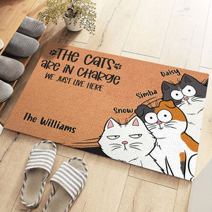 The Cat Is In Charge We Just Live Here - Cat Personalized Custom Decorative Mat - Gift For Pet Owners, Pet Lovers
