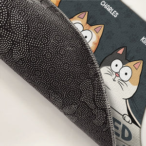 Don't Let The Cats Out No Matter What They Tell You - Cat Personalized Custom Decorative Mat - Gift For Pet Owners, Pet Lovers