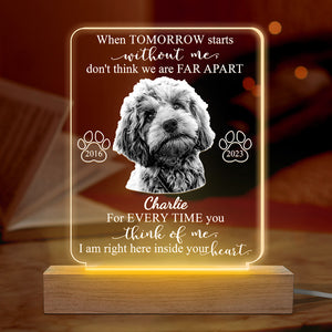 Custom Photo Every Time You Think Of Me - Memorial Personalized Custom Shaped 3D LED Light - Sympathy Gift For Pet Owners, Pet Lovers