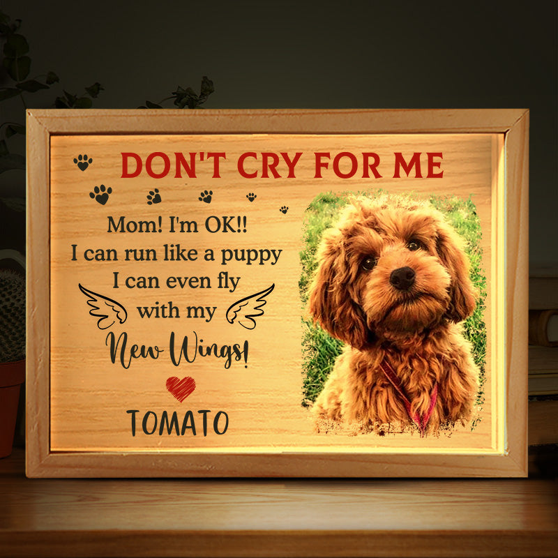 Custom Photo I Can Run Like A Puppy - Memorial Personalized Custom Frame Light Box - Sympathy Gift For Pet Owners, Pet Lovers