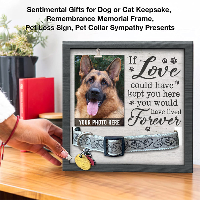 Sentimental 2024 dog gifts