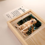 Custom Photo You Would Have Lived Forever - Memorial Personalized Custom Frame Light Box - Sympathy Gift For Pet Owners, Pet Lovers