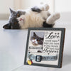 If Love Could Have Kept You Here You Would Have Lived Forever - Memorial Pet Loss Sign, Collar Picture Frame - Sympathy Gift, Gift For Pet Owners, Pet Lovers