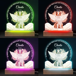 Custom Photo Forever In My Heart - Memorial Personalized Custom Shaped 3D LED Light - Sympathy Gift For Pet Owners, Pet Lovers