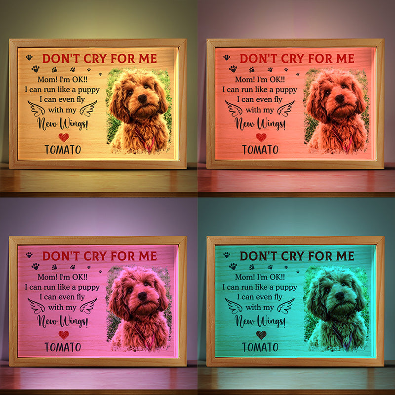 Custom Photo I Can Run Like A Puppy - Memorial Personalized Custom Frame Light Box - Sympathy Gift For Pet Owners, Pet Lovers