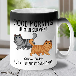 From Your Tiny Furry Overlords - Cat Personalized Custom Color Changing Mug - Gift For Pet Owners, Pet Lovers