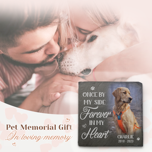 Custom Photo We'll Miss You For The Rest Of Ours - Memorial Personalized Custom Memorial Stone - Sympathy Gift For Pet Owners, Pet Lovers