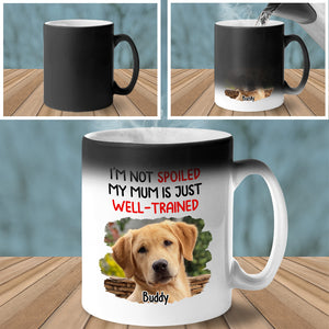 Custom Photo We Aren't Spoiled - Dog & Cat Personalized Custom Color Changing Mug - Gift For Pet Owners, Pet Lovers
