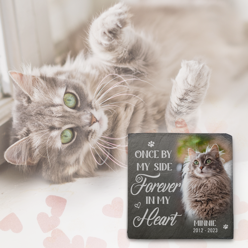 Custom Photo We'll Miss You For The Rest Of Ours - Memorial Personalized Custom Memorial Stone - Sympathy Gift For Pet Owners, Pet Lovers