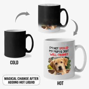 Custom Photo We Aren't Spoiled - Dog & Cat Personalized Custom Color Changing Mug - Gift For Pet Owners, Pet Lovers