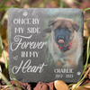 Custom Photo We'll Miss You For The Rest Of Ours - Memorial Personalized Custom Memorial Stone - Sympathy Gift For Pet Owners, Pet Lovers