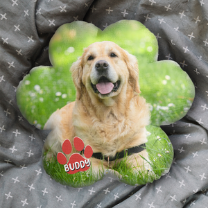 Custom Photo Dogs Own Space And Cats Own Time - Dog & Cat Personalized Custom Shaped Pillow - Gift For Pet Owners, Pet Lovers