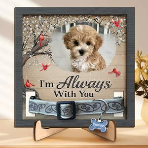 Custom Photo You Are Always In My Mind - Memorial Personalized Custom Pet Loss Sign, Collar Frame With Stand - Sympathy Gift, Gift For Pet Owners, Pet Lovers