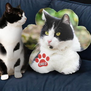 Custom Photo Dogs Own Space And Cats Own Time - Dog & Cat Personalized Custom Shaped Pillow - Gift For Pet Owners, Pet Lovers