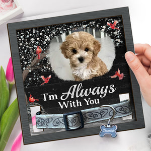 Custom Photo You Are Always In My Mind - Memorial Personalized Custom Pet Loss Sign, Collar Frame With Stand - Sympathy Gift, Gift For Pet Owners, Pet Lovers