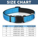 Dog Collar, Cat Collar - Upsell