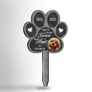 Custom Photo I Will Always Miss You - Memorial Personalized Custom Acrylic Garden Stake - Sympathy Gift, Gift For Pet Owners, Pet Lovers