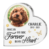 Custom Photo Forever In My Heart - Memorial Personalized Custom Heart Shaped Acrylic Plaque - Sympathy Gift, Gift For Pet Owners, Pet Lovers