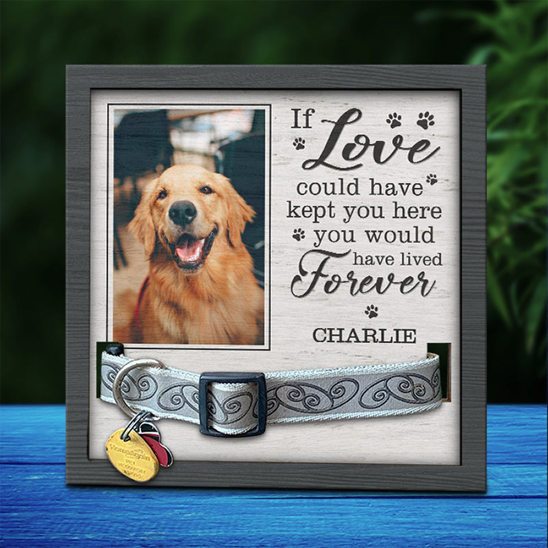 Dog collar cheap picture frame