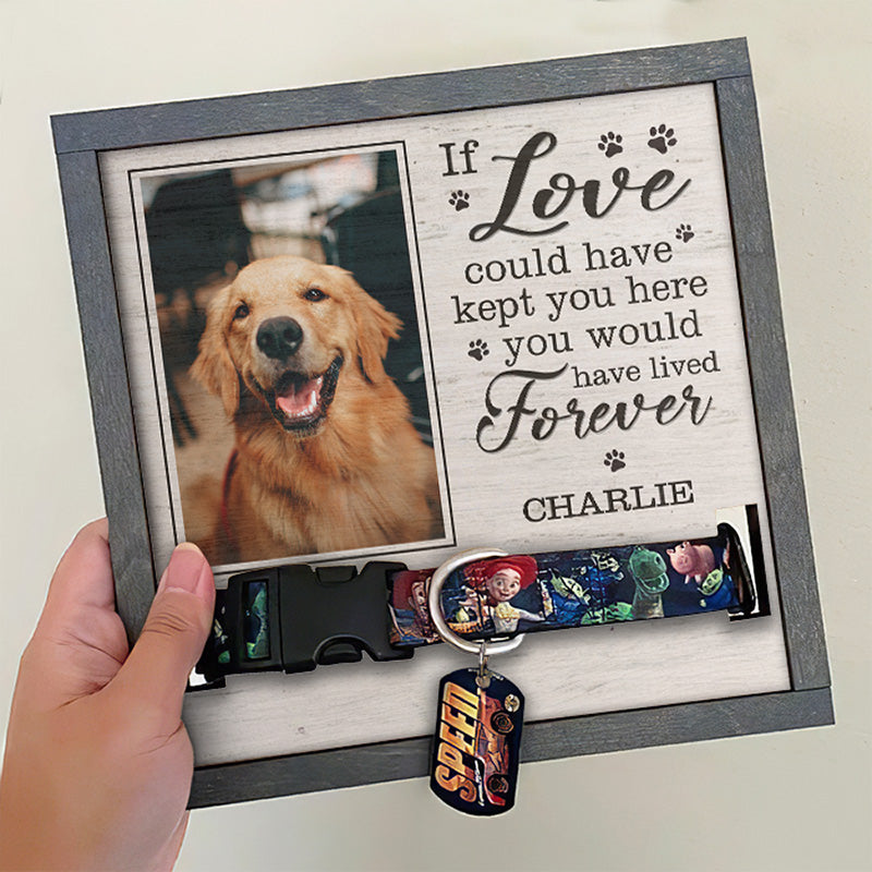 J Pawfect House - Dog Keychain Dog Memorial Gifts for Loss of Dog - Personalized Keychains - Pet Memorial Gifts Cat Keychain, with Gift Box / Pack 2 