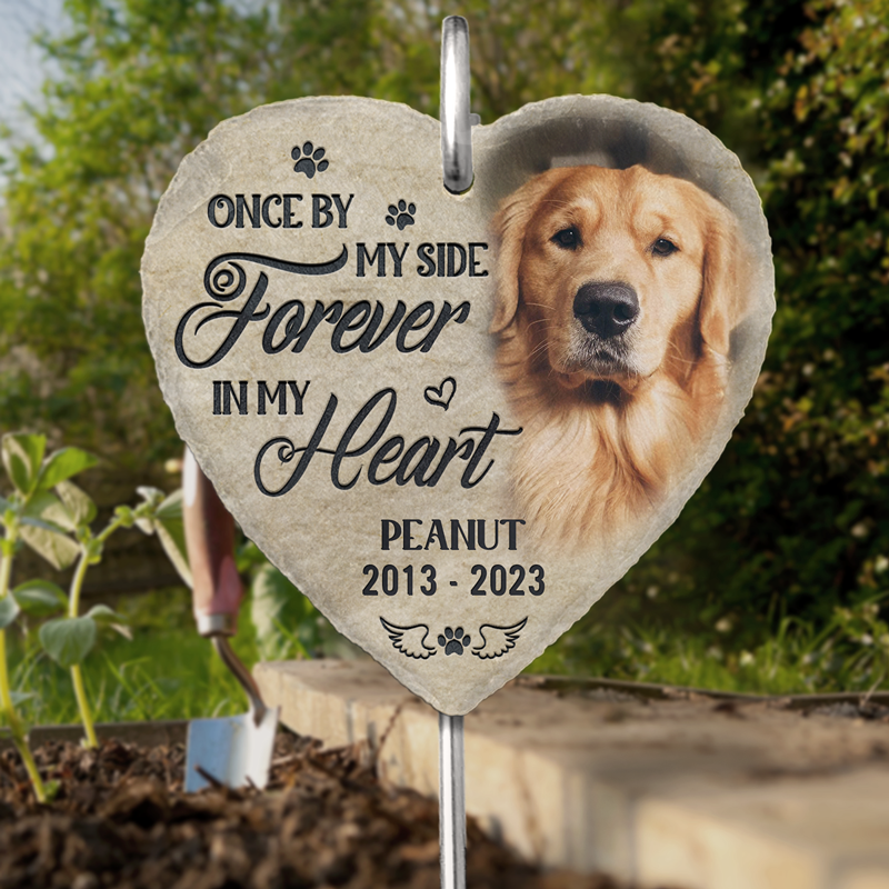 Custom Photo This Belongs To Me Sweetheart - Funny Personalized Custom -  Pawfect House