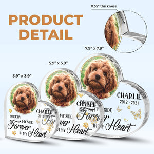 Custom Photo Forever In My Heart - Memorial Personalized Custom Heart Shaped Acrylic Plaque - Sympathy Gift, Gift For Pet Owners, Pet Lovers