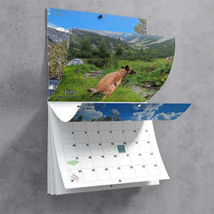 Dogs Pooping In Beautiful Places - Dog 2024 Wall Calendar - Gift For Pet Owners, Pet Lovers