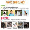 My Beloved Pet - Personalized Slide Sandals, Slippers - Upload Image, Gift For Pet Lovers