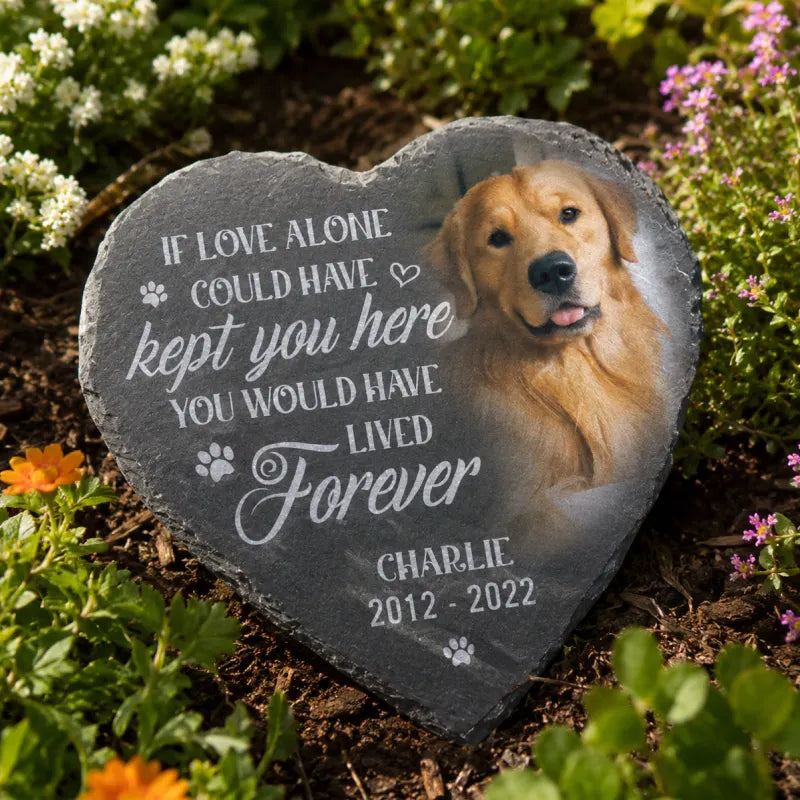 pfh26-memorial-sbp05.webp__PID:a515c353-7845-426b-9c56-1095cc62d064