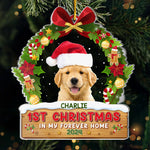 Custom Photo 1st Christmas in My Forever Home Decor - Personalized Ornament