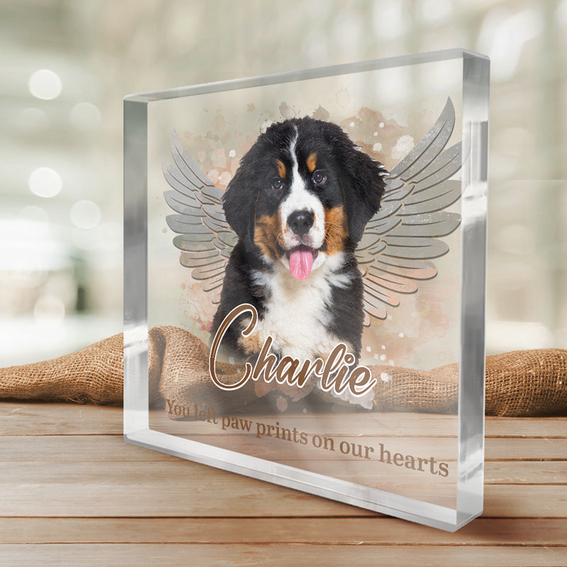 Pets Teach Us The Purest Kind Of Love - Memorial Personalized Custom Square Shaped Acrylic Plaque - Sympathy Gift, Gift For Pet Owners, Pet Lovers