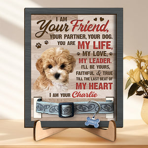 Custom Photo Friendship Survives Death - Memorial Personalized Custom Pet Loss Sign, Collar Frame With Stand - Sympathy Gift, Gift For Pet Owners, Pet Lovers