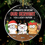 Custom Name Funny Christmas Cat Gifts - Personalized Ornament