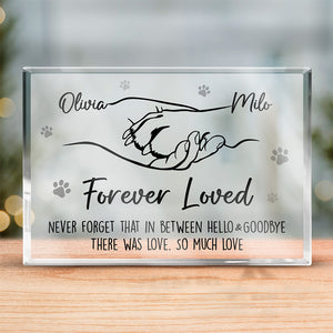 Goodbyes Are Not Forever, Goodbyes Are Not The End - Memorial Personalized Custom Rectangle Shaped Acrylic Plaque - Sympathy Gift, Gift For Pet Owners, Pet Lovers