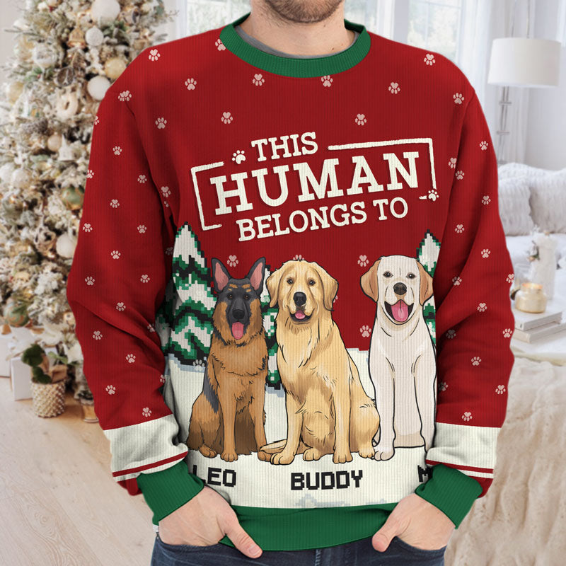 This Human Belongs To Me - Dog Personalized Custom Ugly Sweatshirt - Unisex Wool Jumper - Christmas Gift For Pet Owners, Pet Lovers